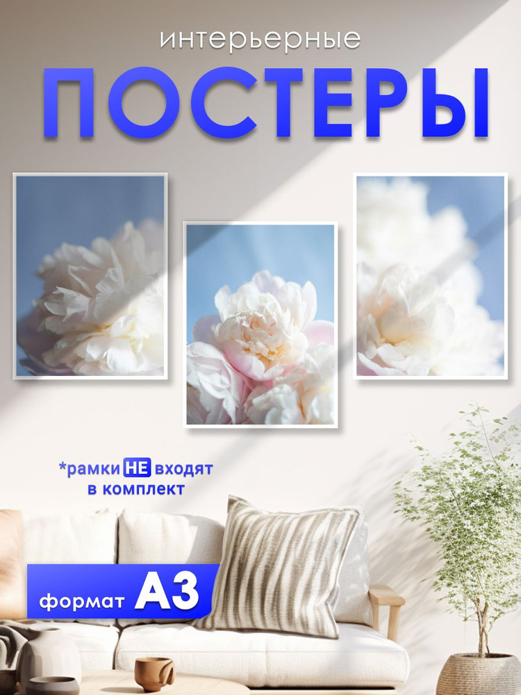 постеры на стену "Флора", 30х42 см, постер А3, 3 штуки,совместим с рамой 30х40  #1