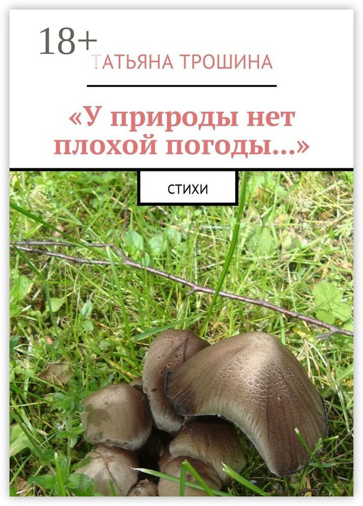 У природы нет плохой погоды.... Стихи | Трошина Татьяна #1