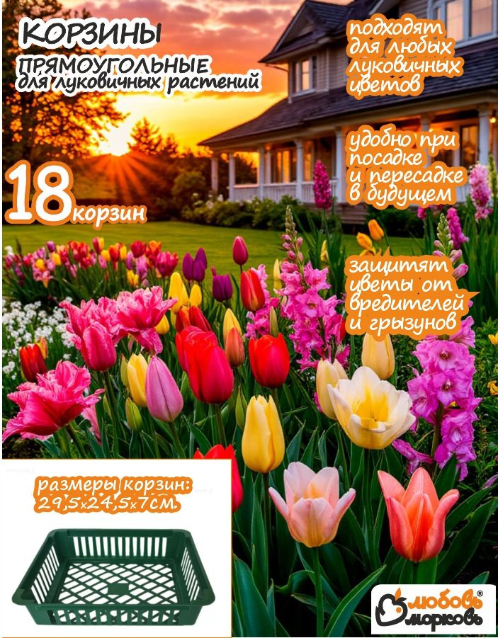 Корзина для луковичных растений, прямоугольная, 18 шт #1