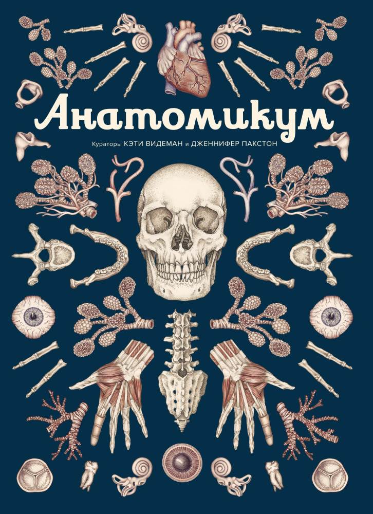 Анатомикум #1