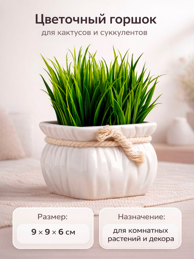 Кашпо 9x9x6 см, для суккулентов и кактусов #1