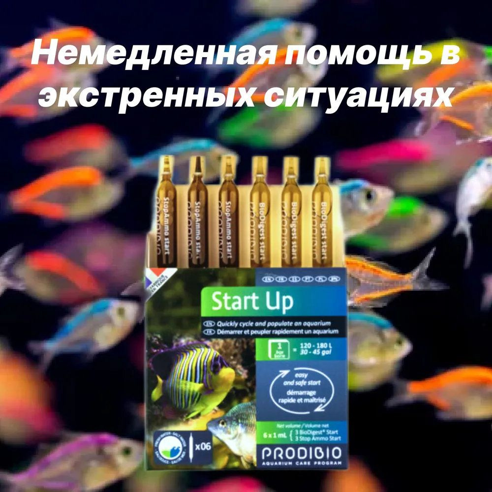 Prodibio START UP 6 ампул набор преп. 3 BIO DIGEST+3 STOP