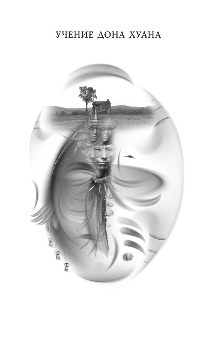 Учение Дона Хуана. Отдельная реальность | The Teachings of Don Juan: A Separate Reality - Ozon image 3