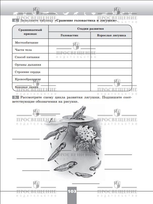 Биология. 8 класс. Базовый уровень. Рабочая тетрадь | Reference Book - Ozon image 6