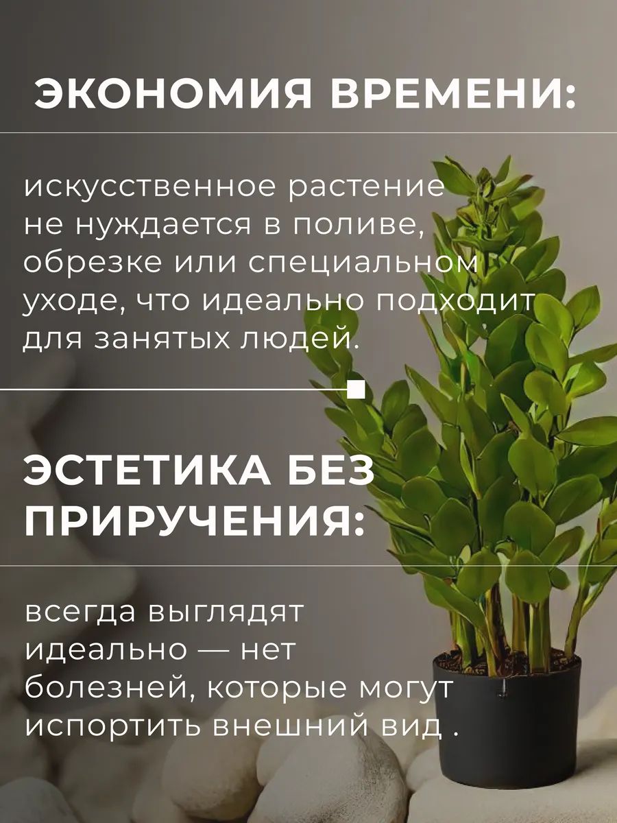 Замиакулькас 90cm Зелёный DS2021-090 Китай