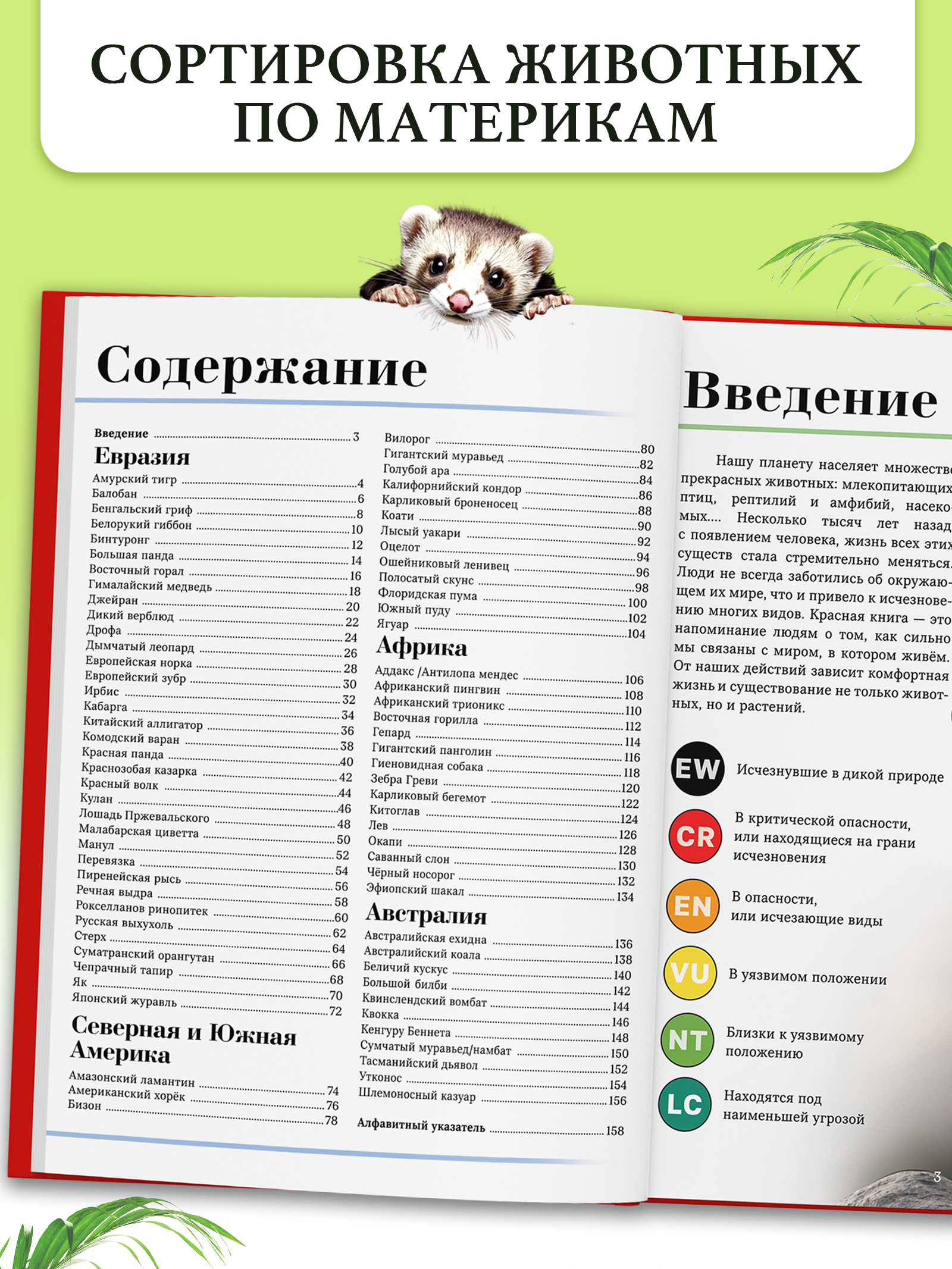 Энциклопедия для детей 7+, Буква-Ленд, "Красная книга мира", книги для детей | Encyclopedia for Children 7+, "Red Book of the World" - Ozon image 2