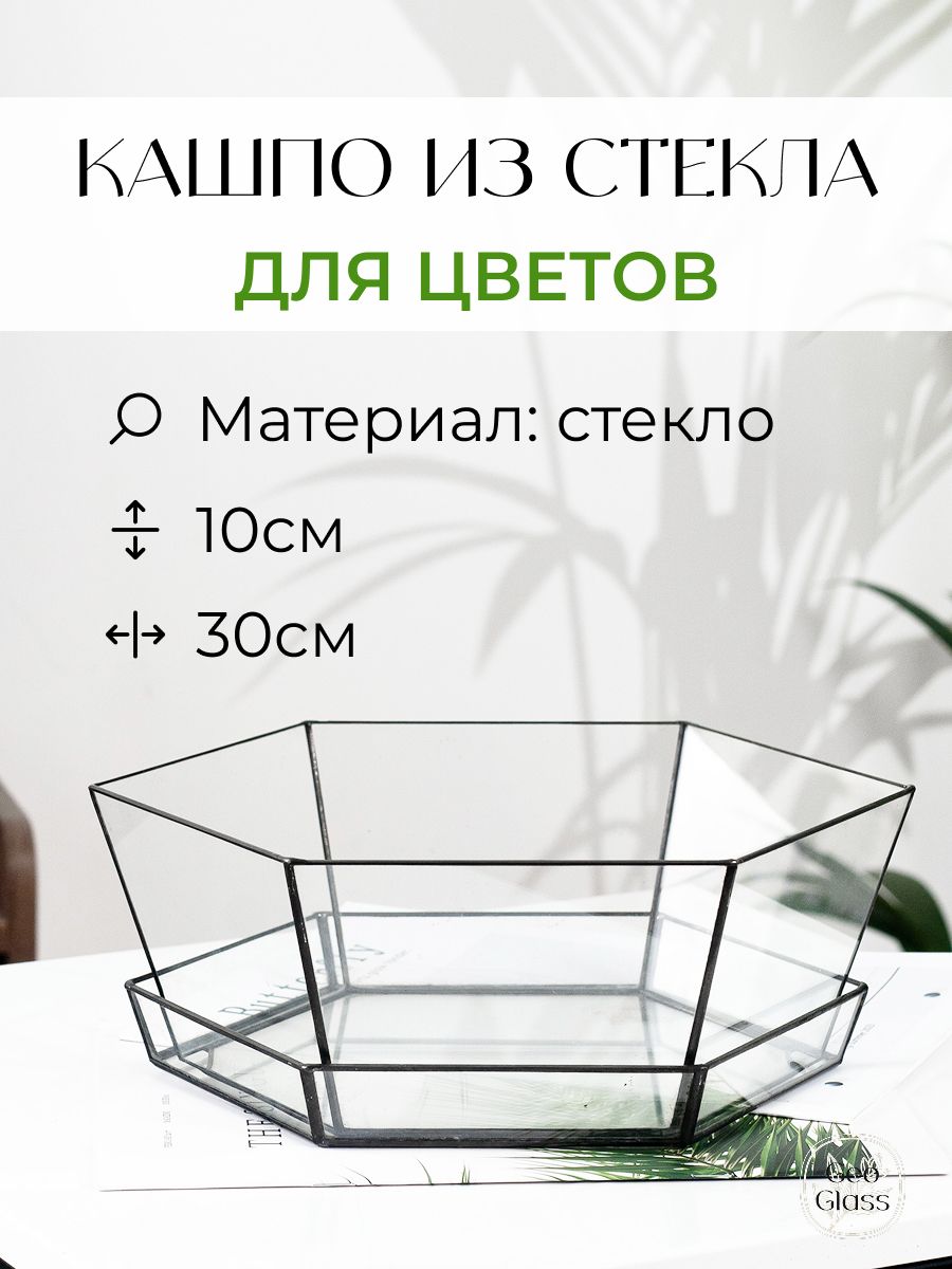 СтеклянноеКашпосподдономдлярастений,суккулентовидекора/GeoGlass