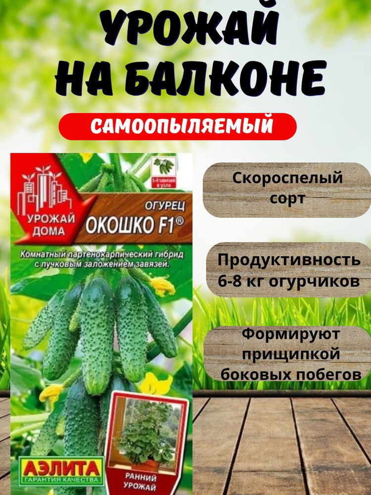 Семена огурцов самоопыляемые, Огурец Окошко , для подоконника и балкона, Аэлита #1
