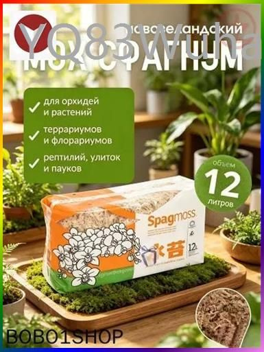 Мох #1