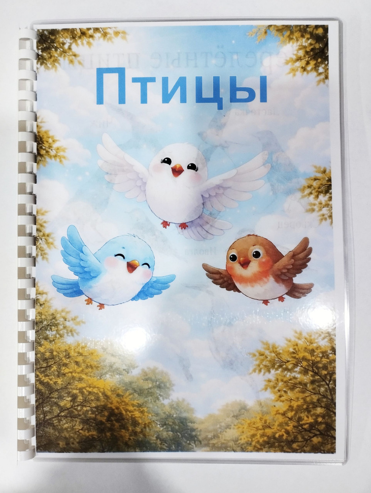 Лэпбук "Птицы" #1