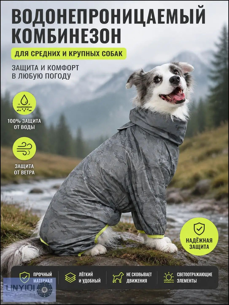 Одежда для животных #1
