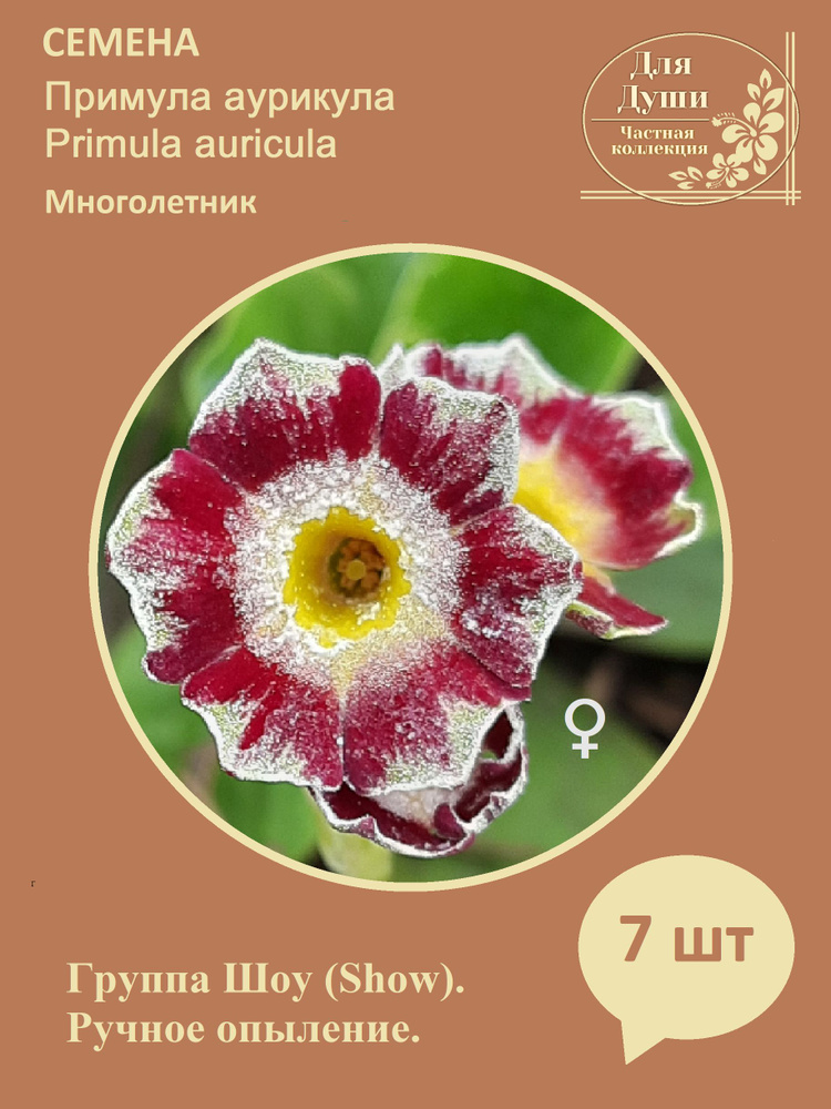 Семена #1