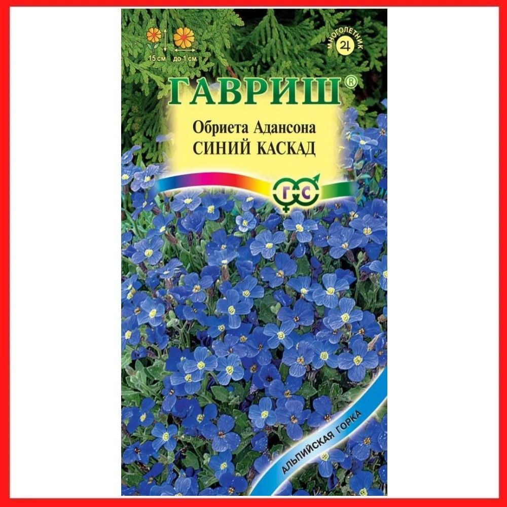 Семена Обриета Адансона "Синий каскад" 0,05 гр, многолетние цветы для дома и дачи, сада и огорода, клумбы, #1