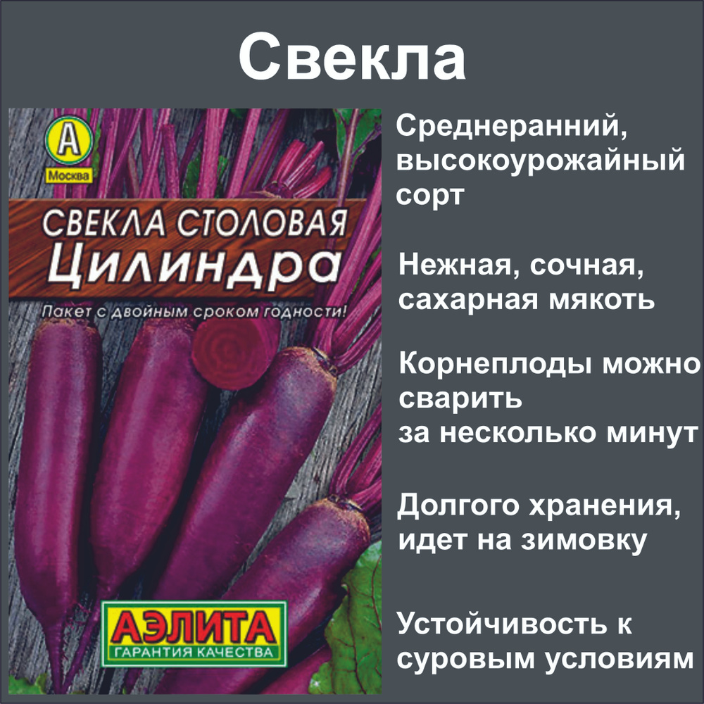 Свекла столовая ЦИЛИНДРА, семена 3г. 1 Упаковка. Нежная, сочная, сахарная. Варится несколько минут.  #1