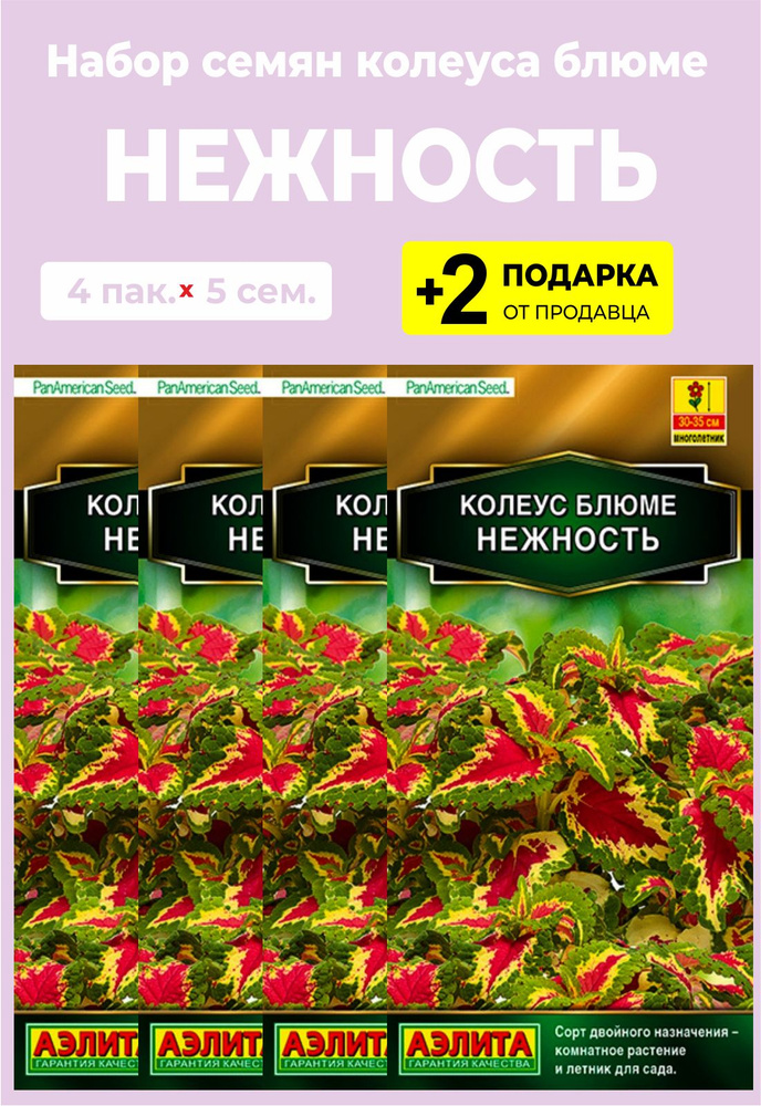 Семена цветов Колеус Блюме "Нежность", 4 упаковки + 2 Подарка от продавца #1