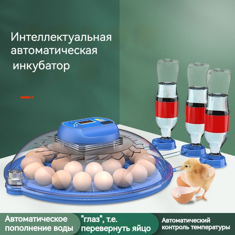 16 Инкубаторы Автоматические Для Яиц/220B/12B - купить с доставкой по ...