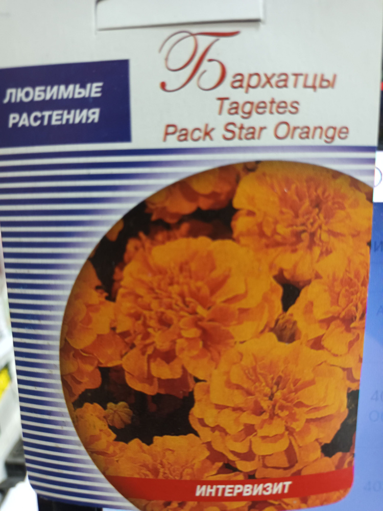 Бархатцы Pack Star Orange семена 15 штук #1