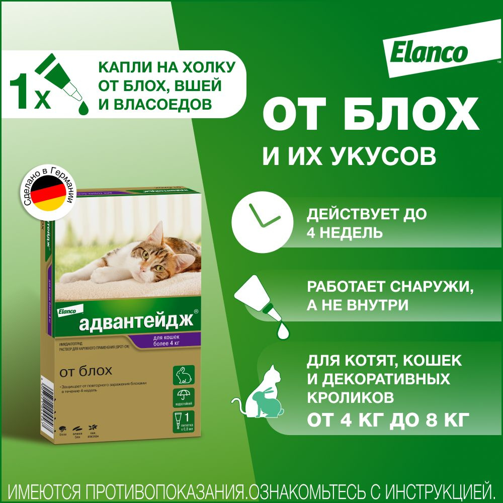 Адвантейдж® капли на холку от блох для кошек более 4 кг – 1 пипетка -  купить с доставкой по выгодным ценам в интернет-магазине OZON (158047294)