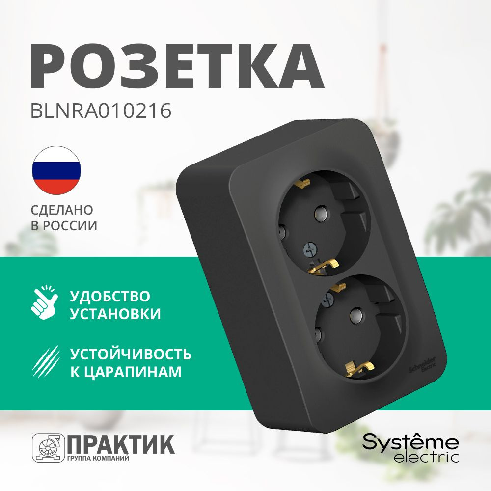 Розетка двойная Blanca Systeme Electric с заземлением без шторок для открытой проводки Антрацит BLNRA010216 #1