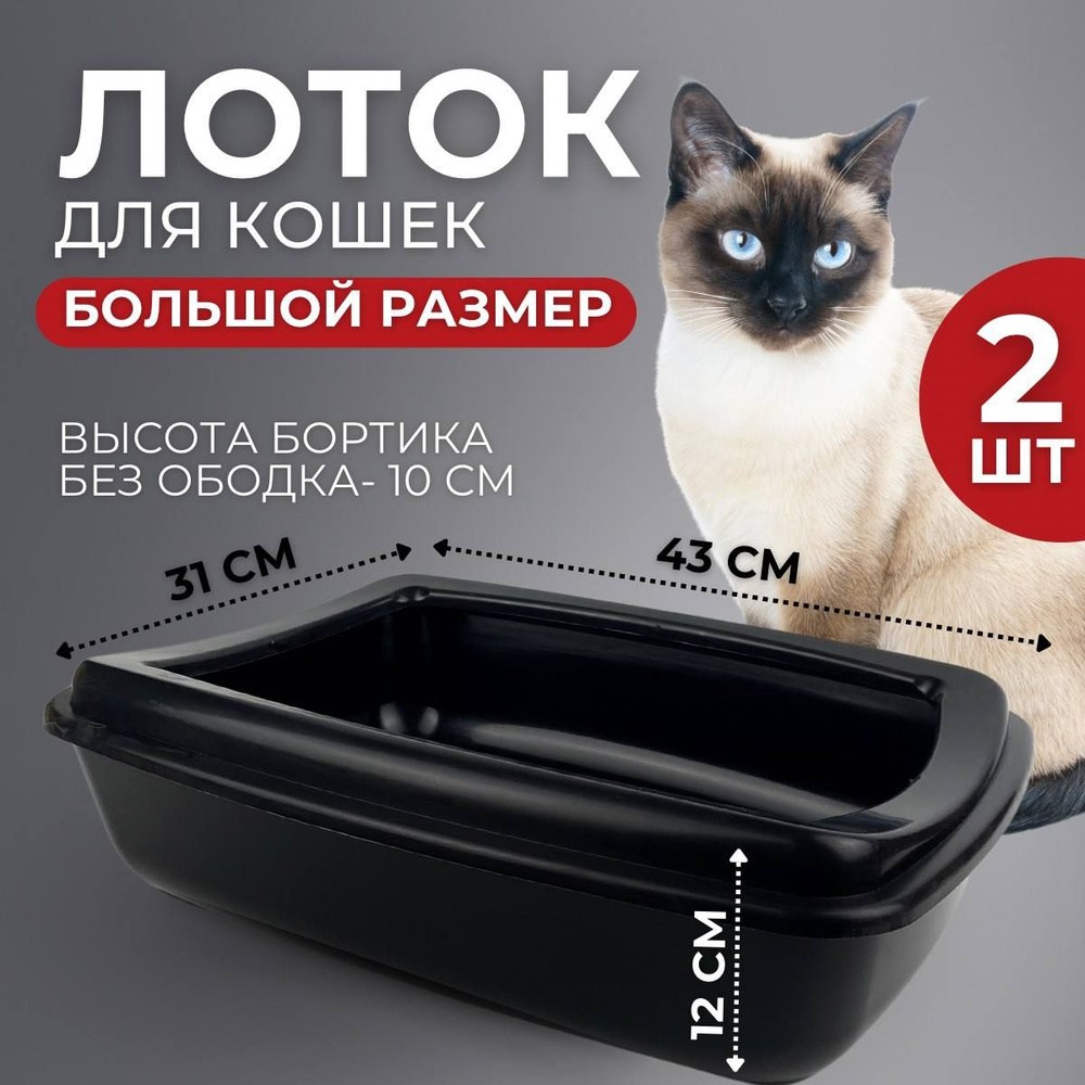 Лоток для кошек с бортом - купить с доставкой по выгодным ценам в ...