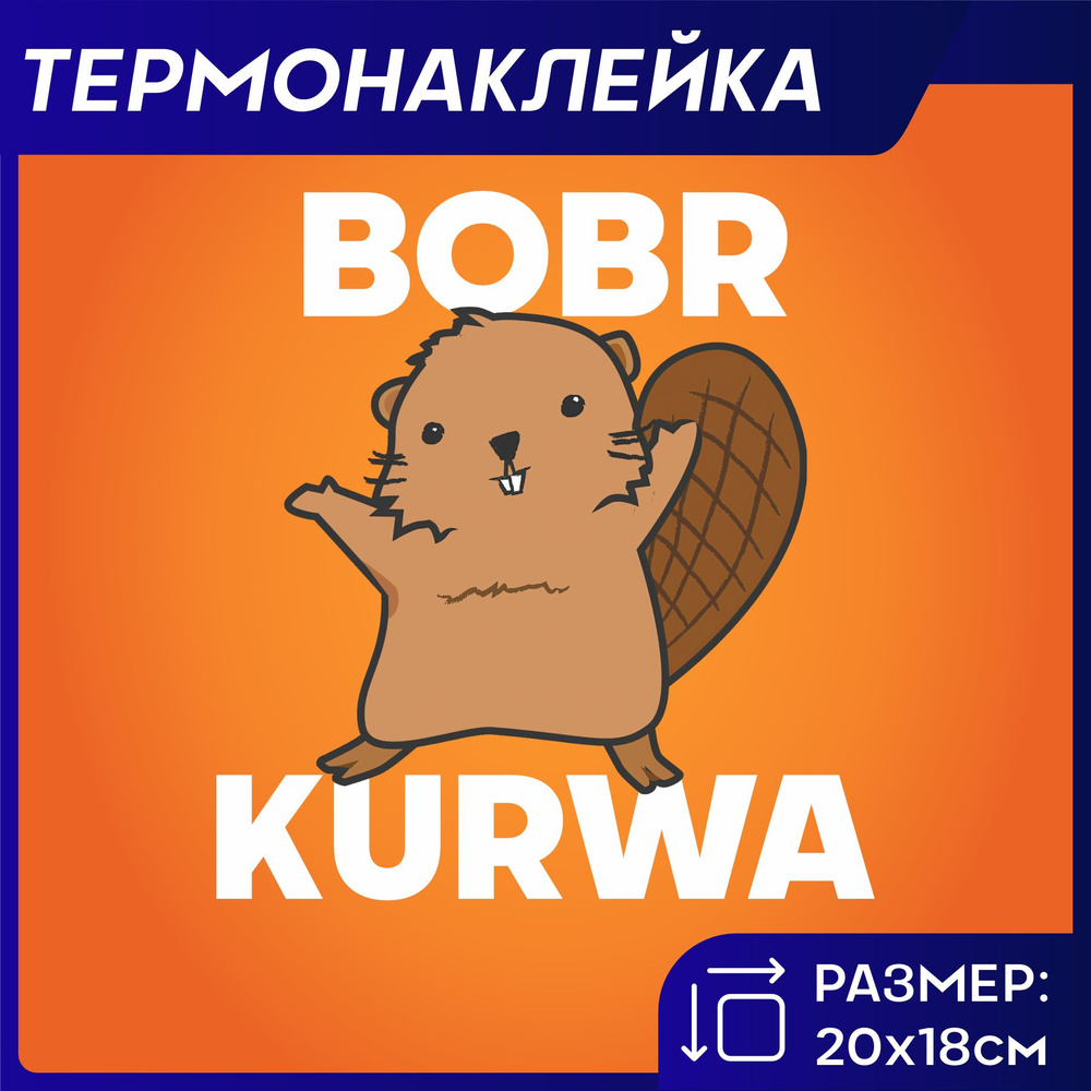 Термонаклейка на одежду Bobr kurwa бобр бобер - купить с доставкой по  выгодным ценам в интернет-магазине OZON (1557441938)