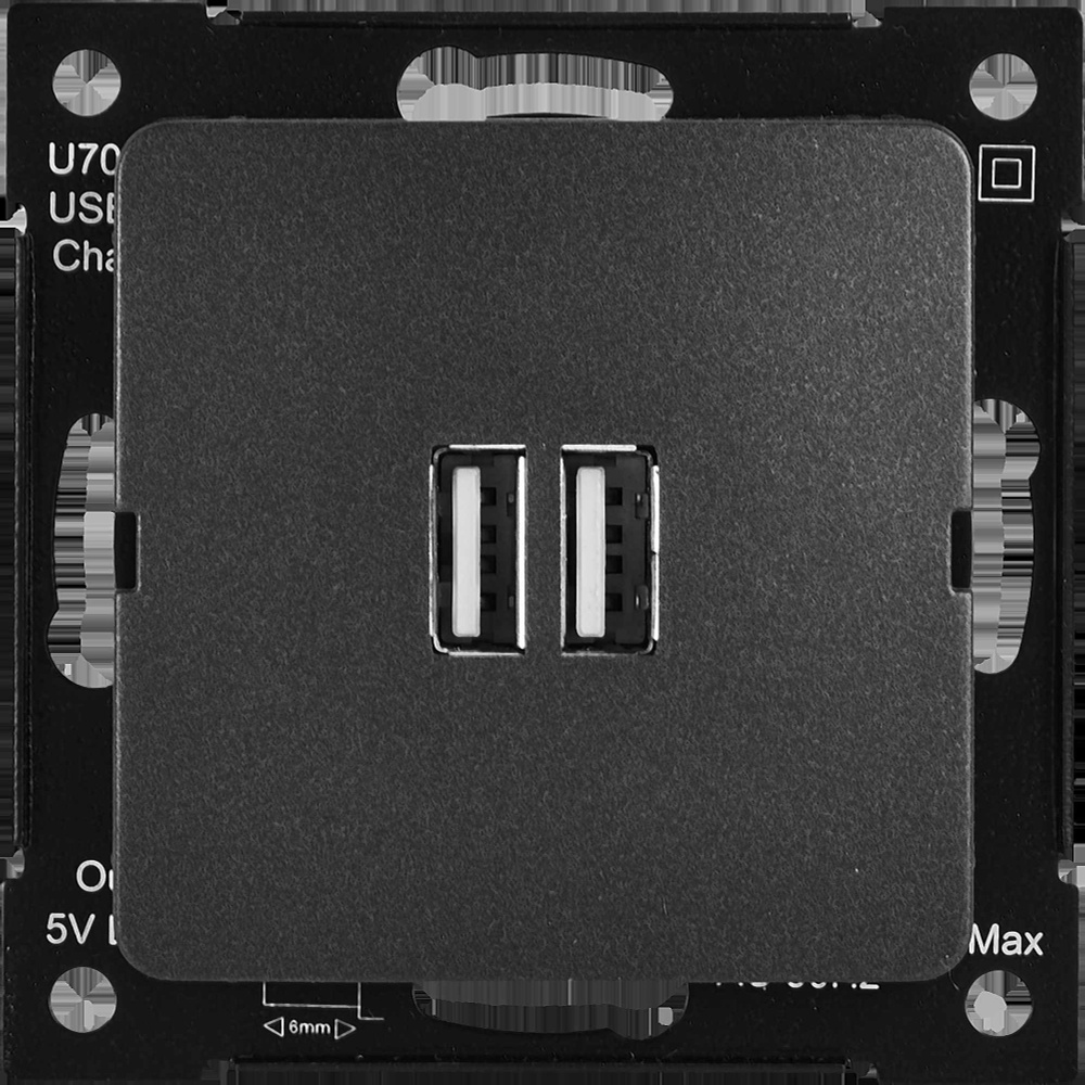 Розетка Hegel USB встраиваемая 3.4 А цвет черный #1