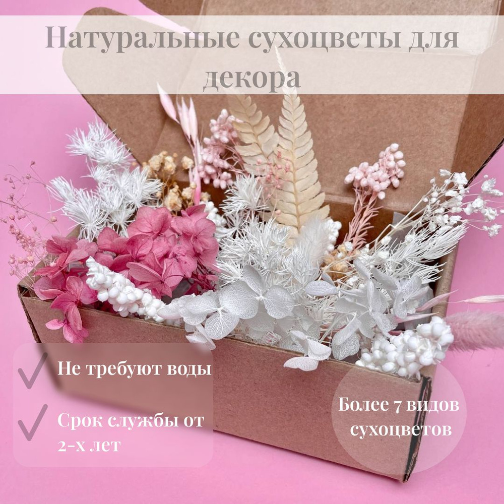 Сухоцветы, 5 см, 40 гр #1