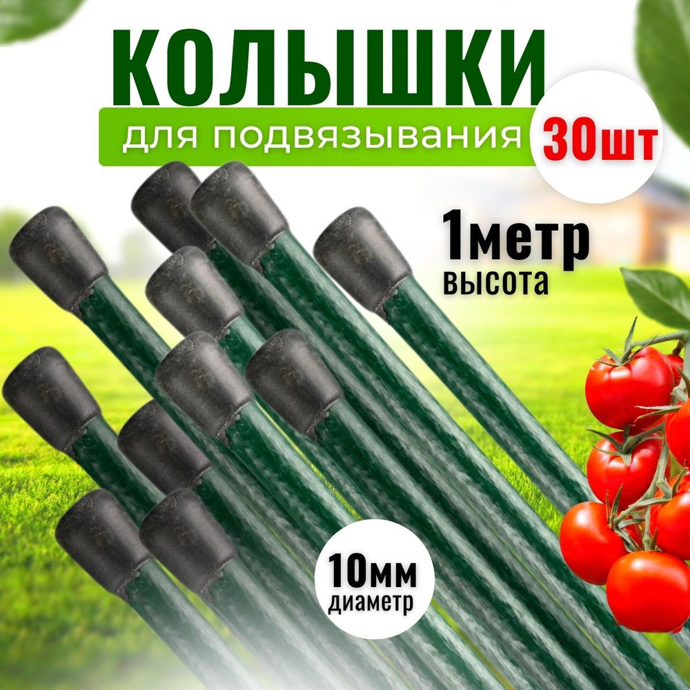 Колышки садовые 30шт по 1м, опоры растений, колышки металлические для ...