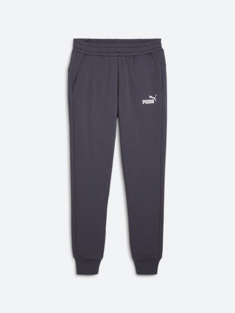 Брюки спортивные PUMA Ess Logo Pants Fl Cl (S) #1