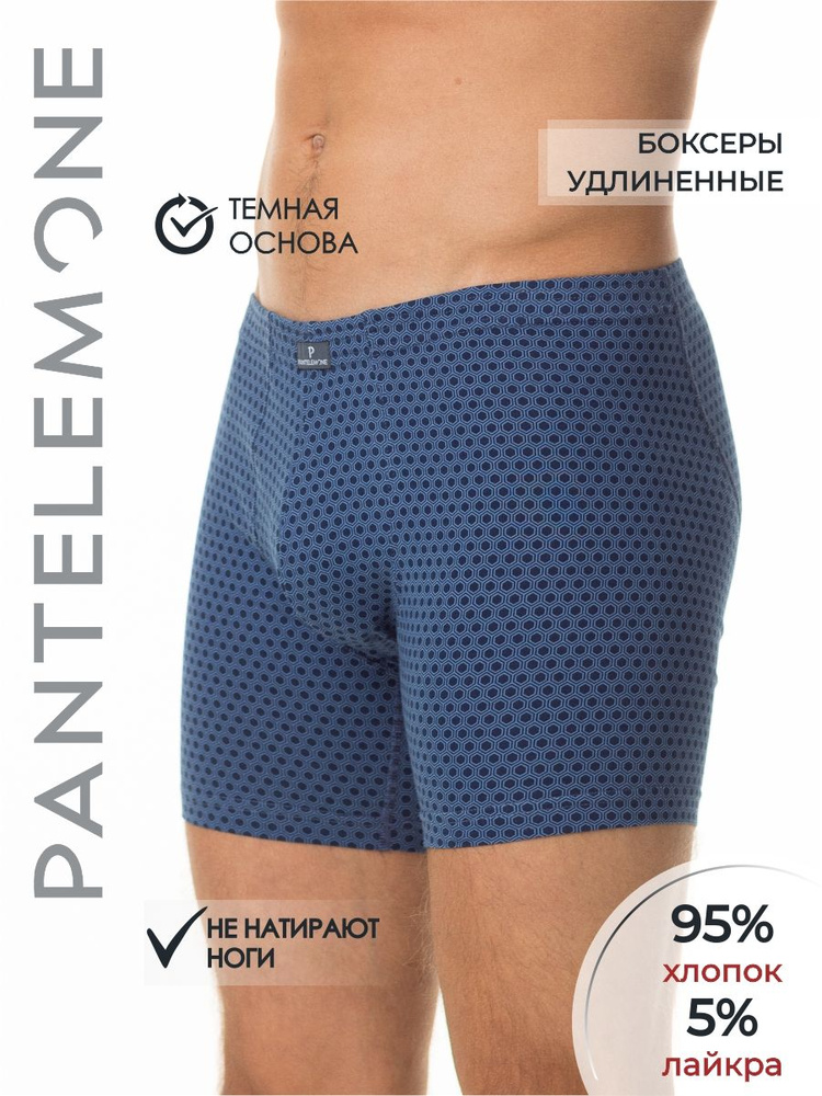 Трусы боксеры, шорты Pantelemone, 1 шт #1