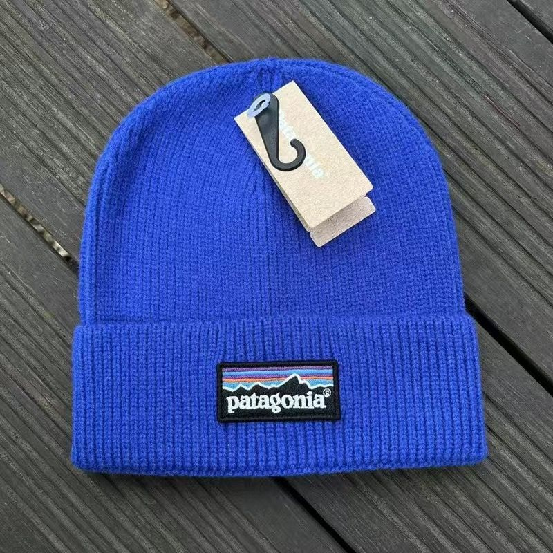 Шапка Patagonia #1