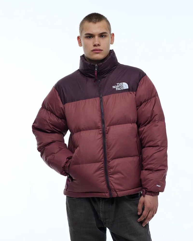 Пуховик The North Face #1