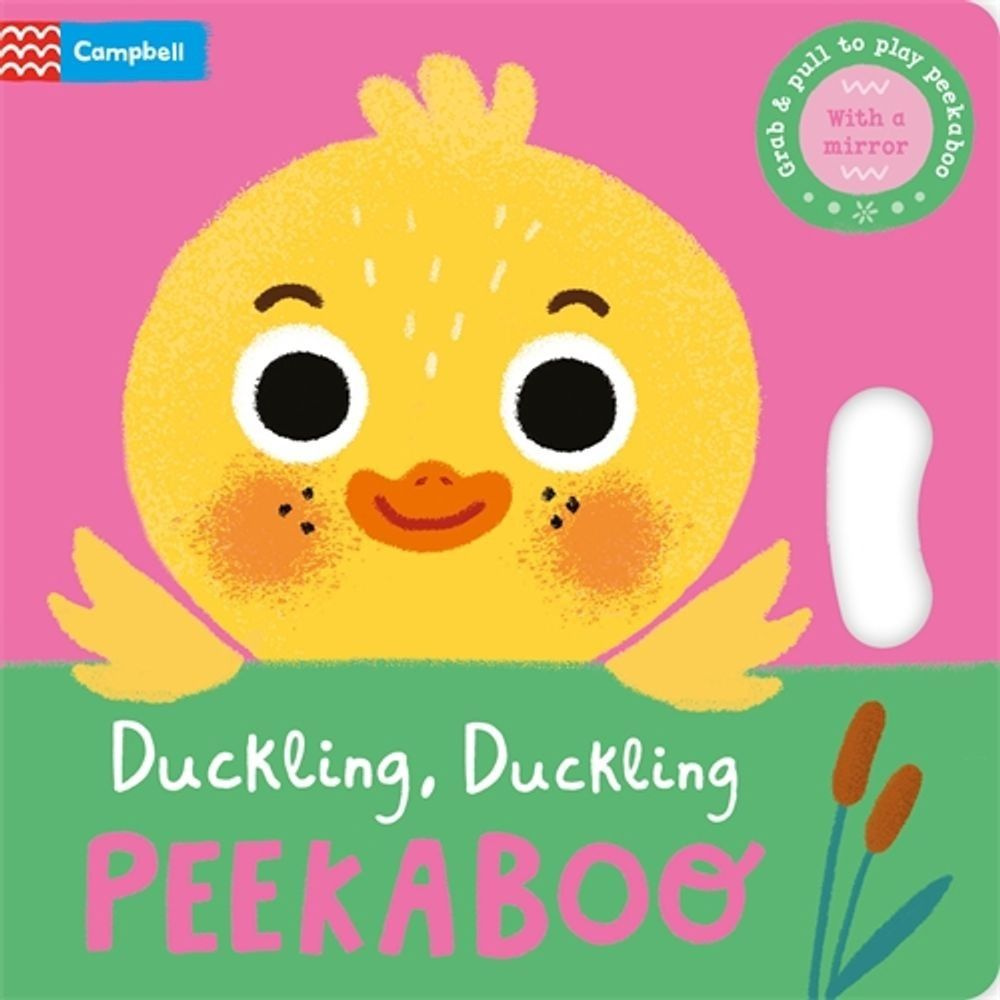 Duckling, Duckling, Peekaboo #1