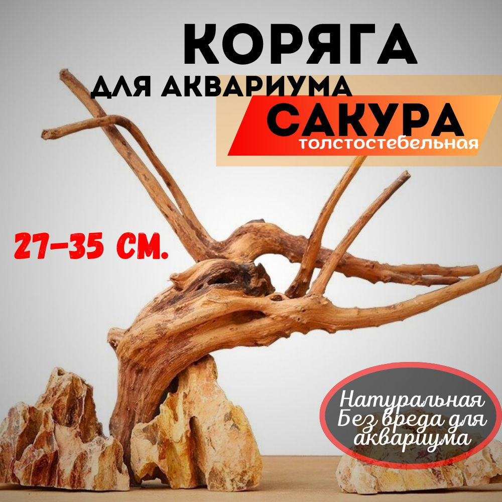 Коряга для аквариума натуральная/Коряга натуральная Сакура/Декорация ...