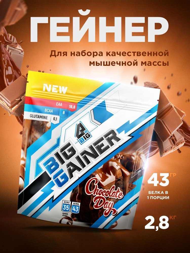 Гейнер BIGSNT BIG GAINER для набора мышечной массы высокобелковый / 2.8 кг, Шоколад  #1