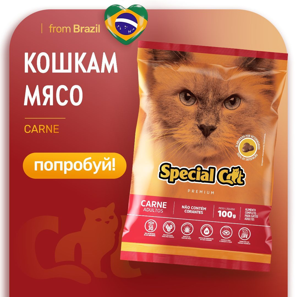 Сухой корм для кошек Special Cat Alimento Premium взрослых с говядиной, Бразилия, 100 гр  #1