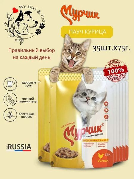 Влажный Корм для Кошек Мурчик Курица в Соусе 75 гр х 35 шт #1