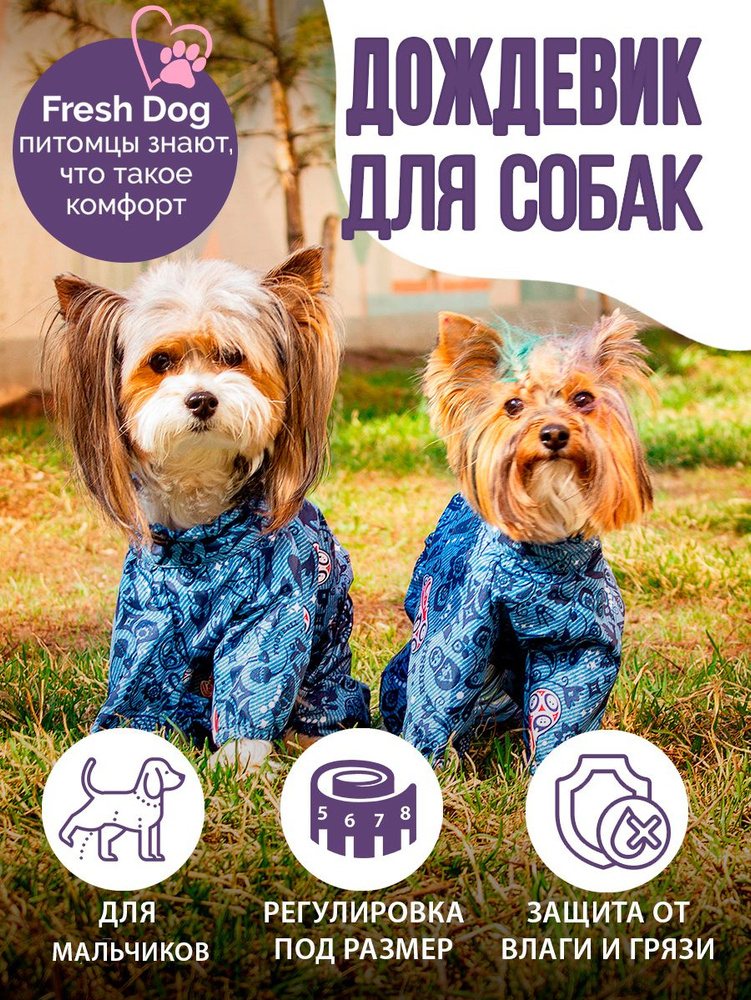 Дождевик Москва + #1