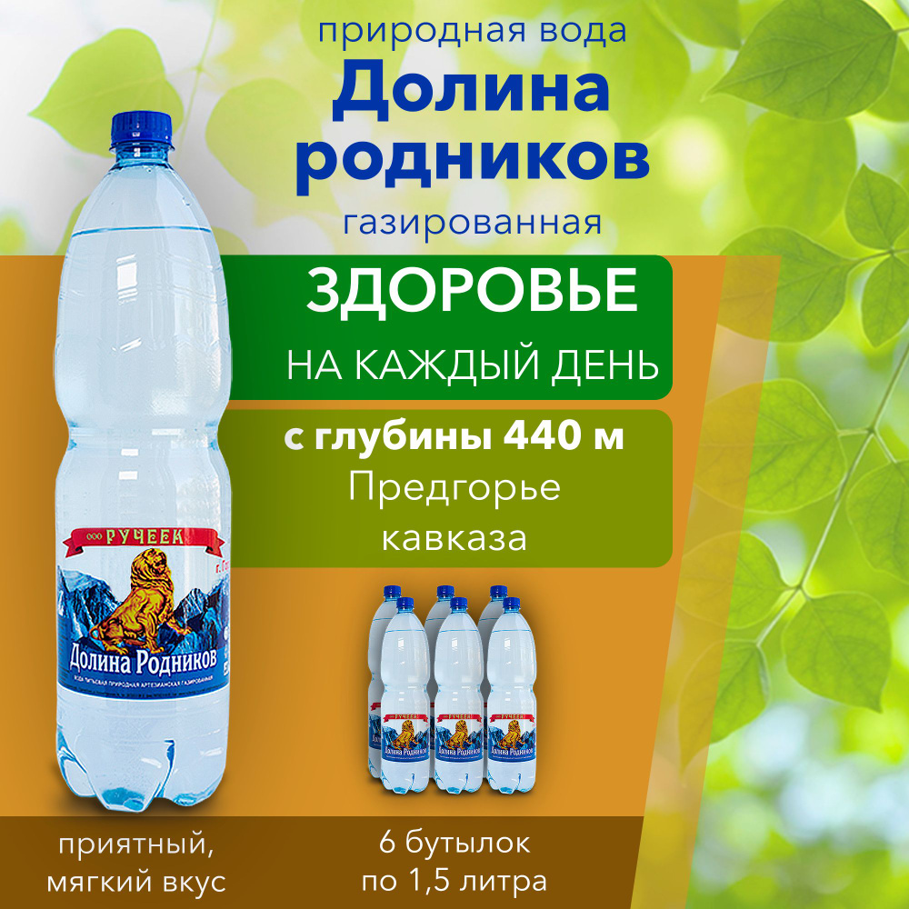 Вода питьевая газированная с серебром Долина Родников, минеральная вода с газом 1,5 л., 6 шт. #1