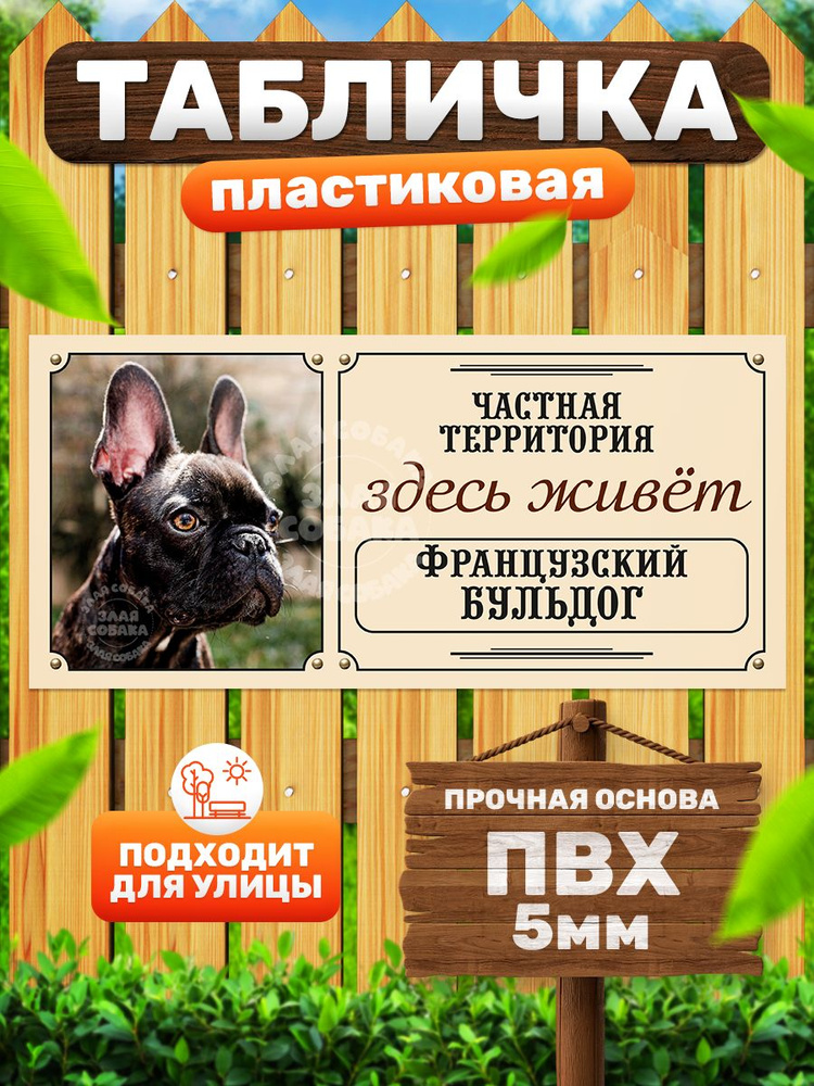 Табличка, Злая собака, Здесь живет Француский бульдог, 30см х 14 см, на забор, на дверь #1
