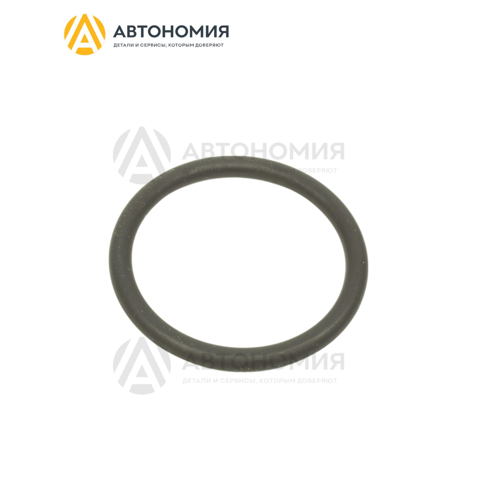 Кольцо уплотнительное Volvo 30624618 #1
