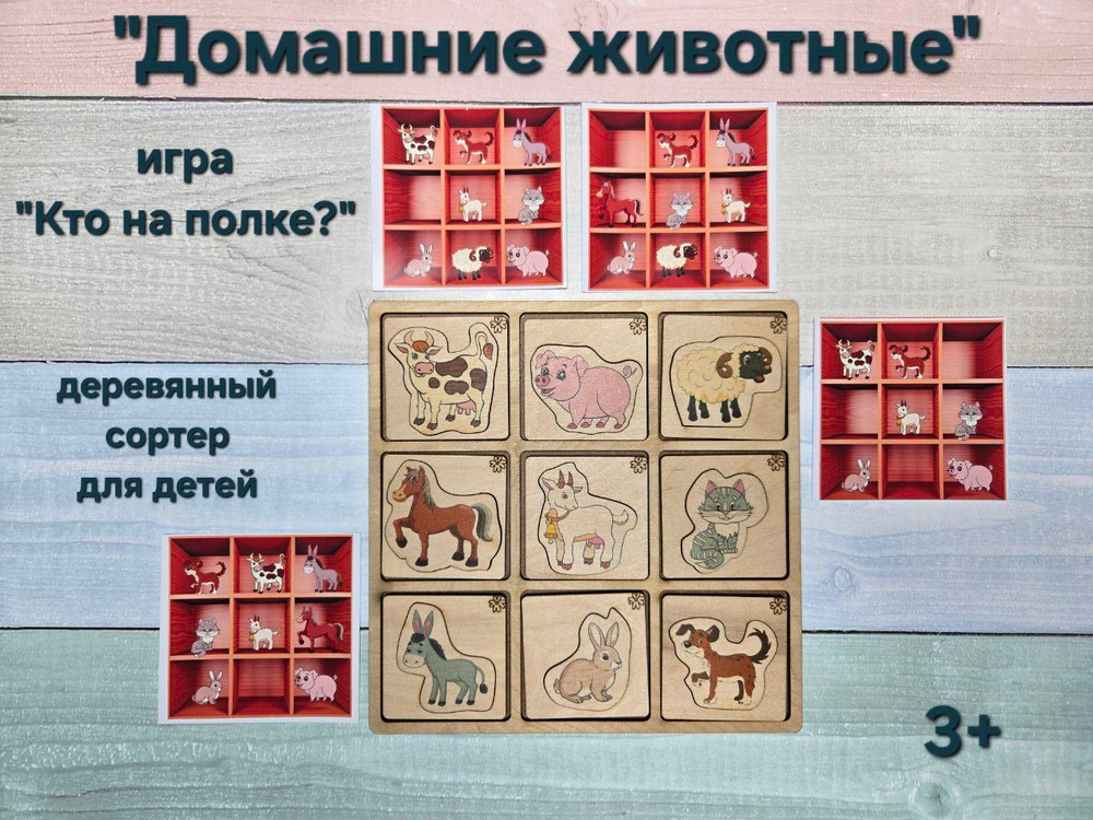 ДОМАШНИЕ ЖИВОТНЫЕ Дидактическая игра "Что(Кто) на полке?,, #1