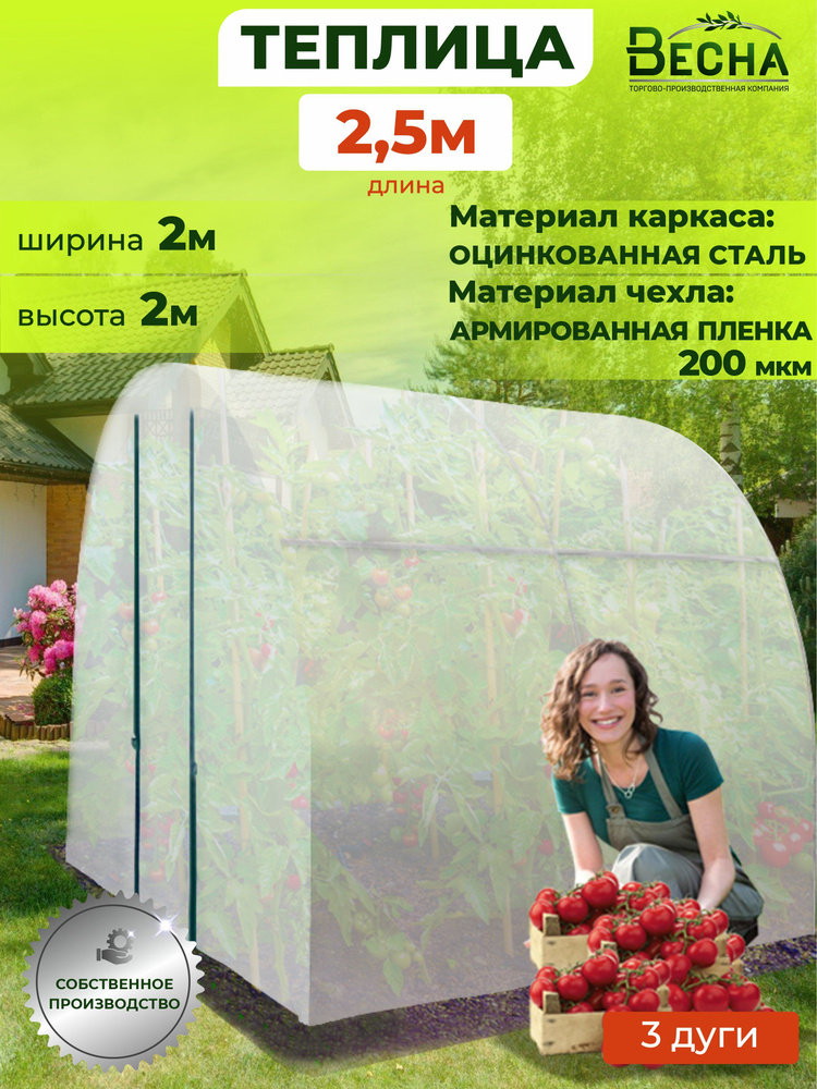 Теплица дачная "Весна" L 2,5x2x2м стальная оцинкованная, чехол из армированной пленки 200 мкм, теплица #1
