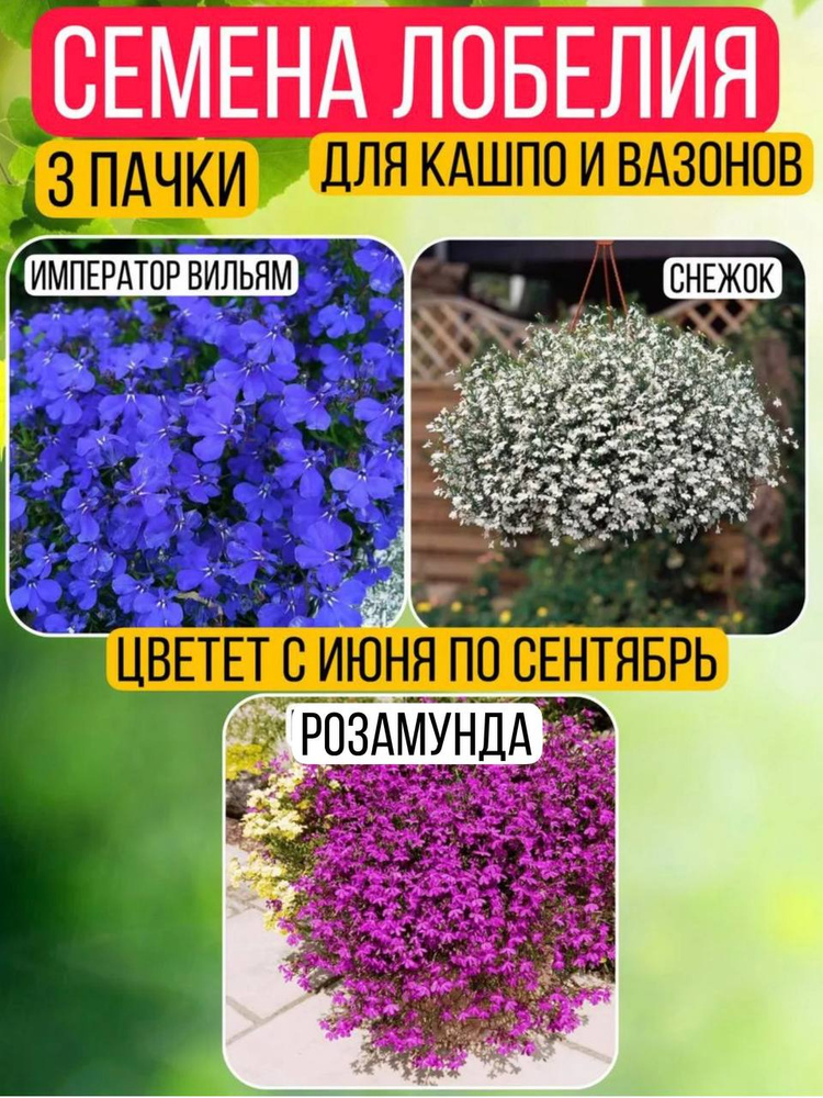 Семена Лобелия 3 упаковки #1