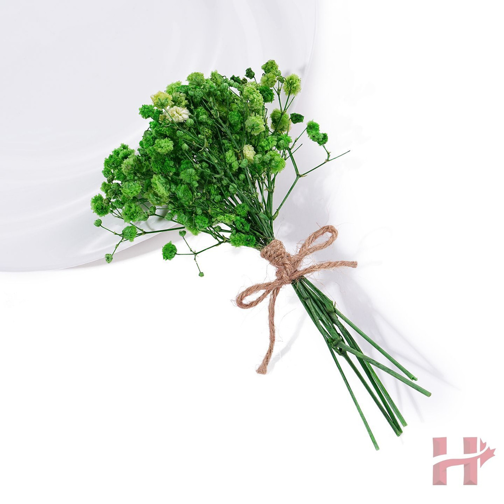 Сухоцветы, 15 см, 15 гр, 1 шт #1