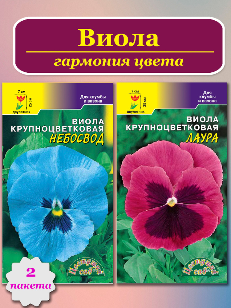Виола лаура и небосвод #1