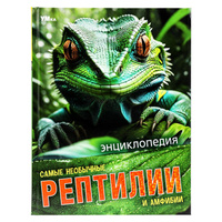 Необычные Книги для Детей