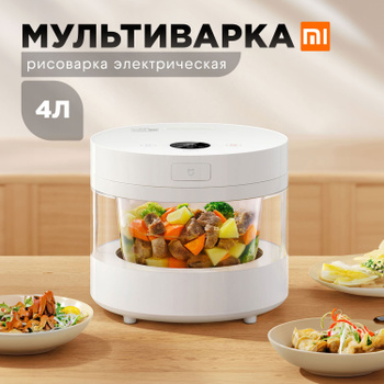 Xiaomi electric rice deals cooker