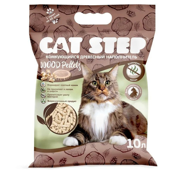 Cat Step 10 cat-step-10