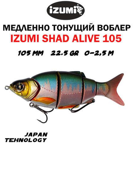 Izumi - Alive Diver - 145 - MD kopen? De Roofvisser